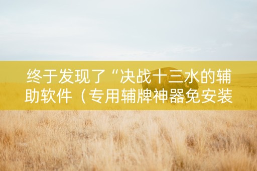 终于发现了“决战十三水的辅助软件（专用辅牌神器免安装）