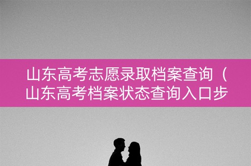 山东高考志愿录取档案查询（山东高考档案状态查询入口步骤）