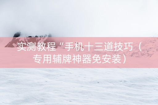 实测教程“手机十三道技巧（专用辅牌神器免安装）