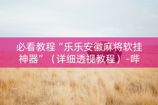 必看教程“乐乐安徽麻将软挂神器”（详细透视教程）-哔哩哔哩
