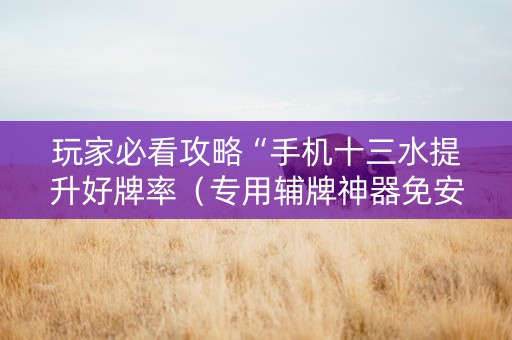 玩家必看攻略“手机十三水提升好牌率（专用辅牌神器免安装）