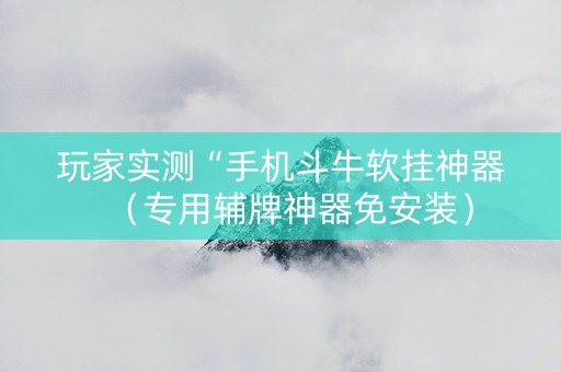 玩家实测“手机斗牛软挂神器（专用辅牌神器免安装）