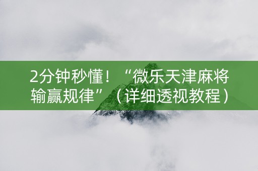 2分钟秒懂！“微乐天津麻将输赢规律”（详细透视教程）-哔哩哔哩