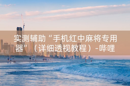 实测辅助“手机红中麻将专用器”（详细透视教程）-哔哩哔哩