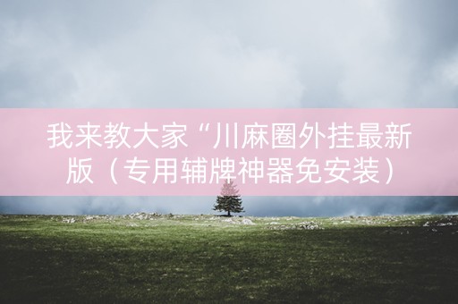 我来教大家“川麻圈外挂最新版（专用辅牌神器免安装）