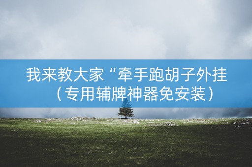 我来教大家“牵手跑胡子外挂（专用辅牌神器免安装）