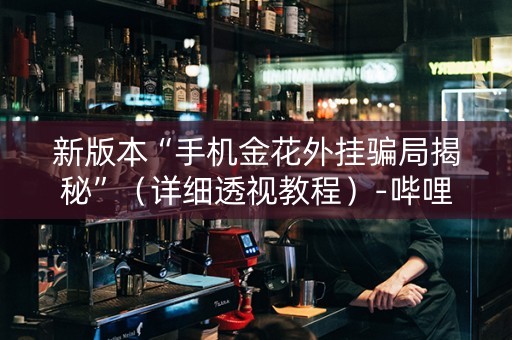 新版本“手机金花外挂骗局揭秘”（详细透视教程）-哔哩哔哩