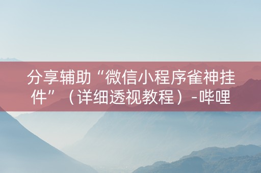 分享辅助“微信小程序雀神挂件”（详细透视教程）-哔哩哔哩