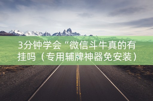 3分钟学会“微信斗牛真的有挂吗（专用辅牌神器免安装）