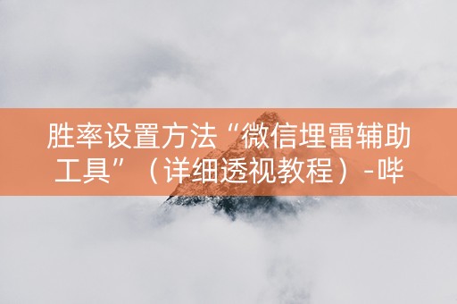 胜率设置方法“微信埋雷辅助工具”（详细透视教程）-哔哩哔哩