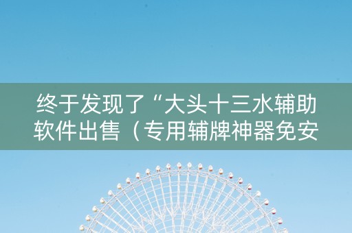 终于发现了“大头十三水辅助软件出售（专用辅牌神器免安装）