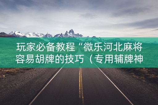 玩家必备教程“微乐河北麻将容易胡牌的技巧（专用辅牌神器免安装）