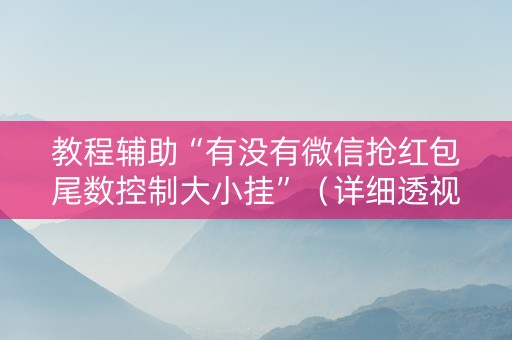 教程辅助“有没有微信抢红包尾数控制大小挂”（详细透视教程）-哔哩哔哩