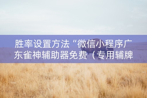 胜率设置方法“微信小程序广东雀神辅助器免费（专用辅牌神器免安装）