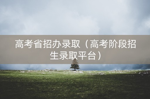 高考省招办录取（高考阶段招生录取平台）