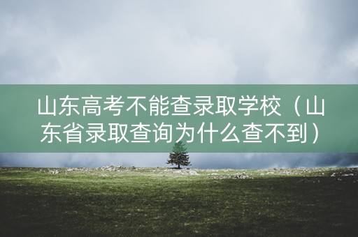 山东高考不能查录取学校（山东省录取查询为什么查不到）