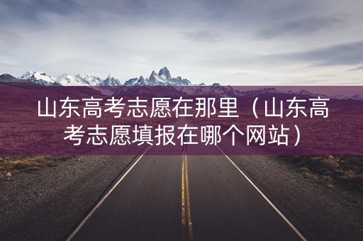 山东高考志愿在那里（山东高考志愿填报在哪个网站）