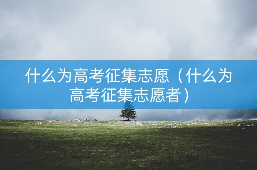 什么为高考征集志愿（什么为高考征集志愿者）