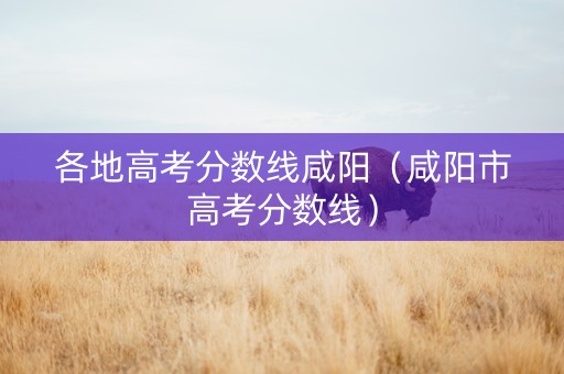 各地高考分数线咸阳（咸阳市高考分数线）