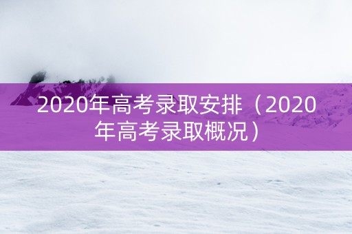 2020年高考录取安排（2020年高考录取概况）