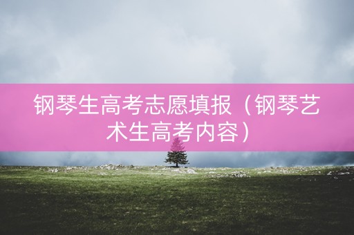 钢琴生高考志愿填报（钢琴艺术生高考内容）