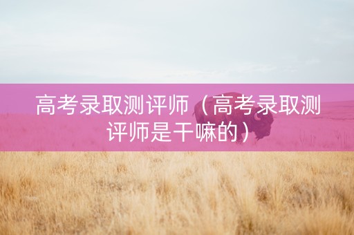 高考录取测评师（高考录取测评师是干嘛的）