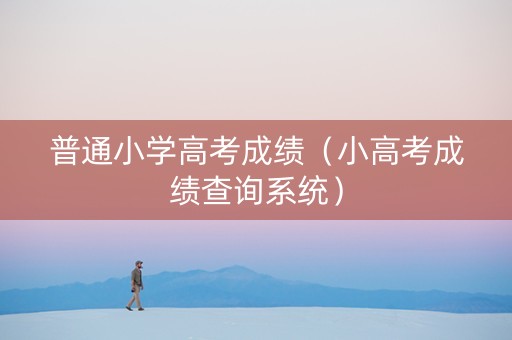 普通小学高考成绩（小高考成绩查询系统）