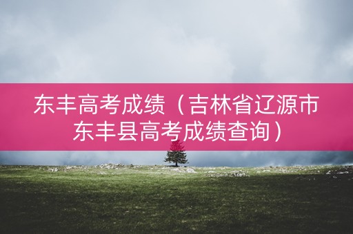 东丰高考成绩（吉林省辽源市东丰县高考成绩查询）
