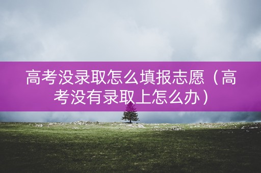 高考没录取怎么填报志愿（高考没有录取上怎么办）