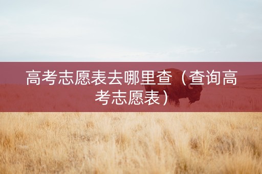 高考志愿表去哪里查（查询高考志愿表）