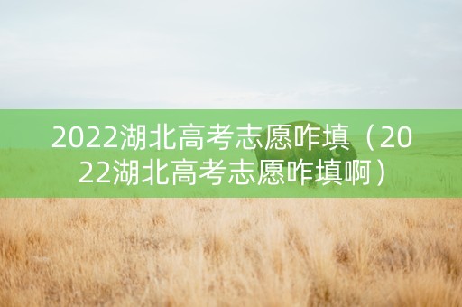 2022湖北高考志愿咋填（2022湖北高考志愿咋填啊）