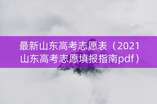 最新山东高考志愿表（2021山东高考志愿填报指南pdf）