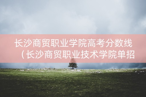 长沙商贸职业学院高考分数线（长沙商贸职业技术学院单招招生简章）