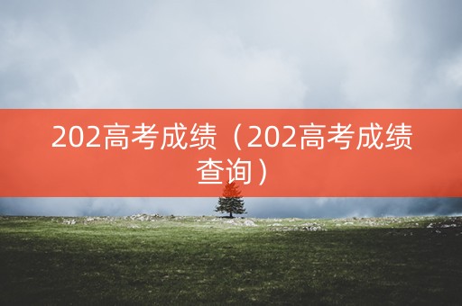202高考成绩（202高考成绩查询）
