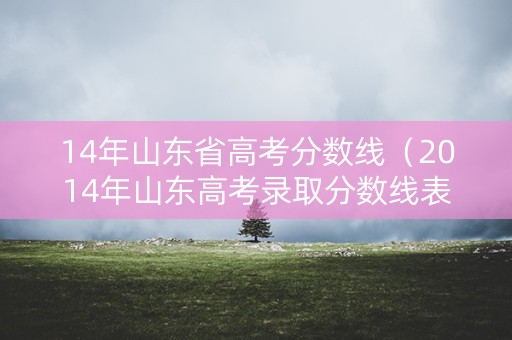 14年山东省高考分数线（2014年山东高考录取分数线表）