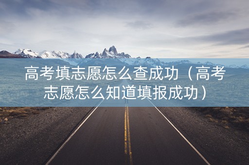 高考填志愿怎么查成功（高考志愿怎么知道填报成功）