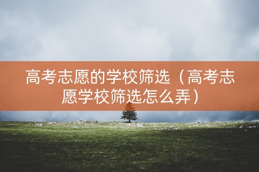 高考志愿的学校筛选（高考志愿学校筛选怎么弄）