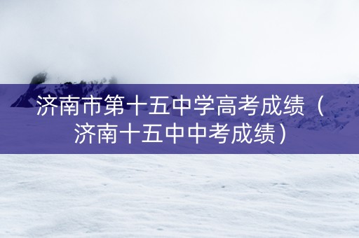济南市第十五中学高考成绩（济南十五中中考成绩）
