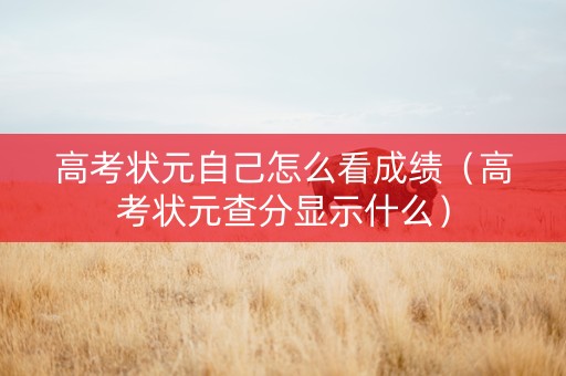 高考状元自己怎么看成绩（高考状元查分显示什么）