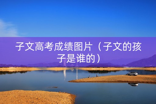 子文高考成绩图片（子文的孩子是谁的）
