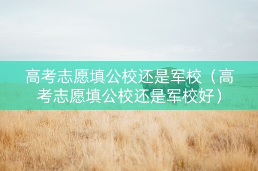 高考志愿填公校还是军校（高考志愿填公校还是军校好）