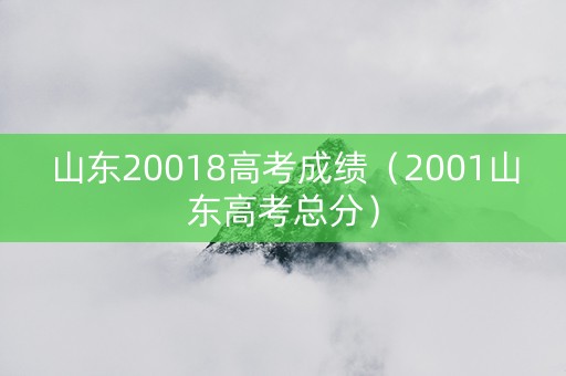 山东20018高考成绩（2001山东高考总分）
