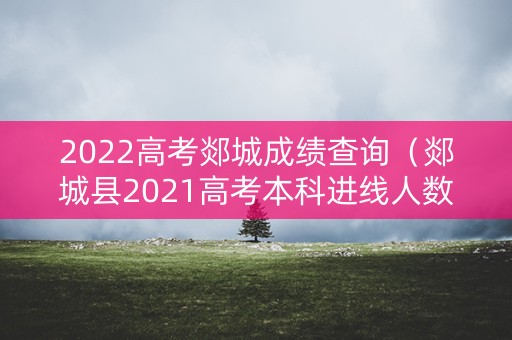 2022高考郯城成绩查询（郯城县2021高考本科进线人数）