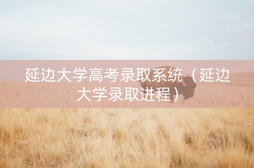 延边大学高考录取系统（延边大学录取进程）