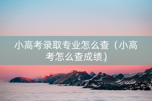 小高考录取专业怎么查（小高考怎么查成绩）
