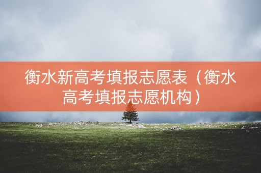 衡水新高考填报志愿表（衡水高考填报志愿机构）