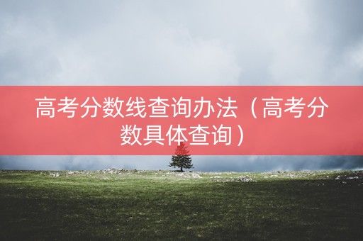 高考分数线查询办法（高考分数具体查询）