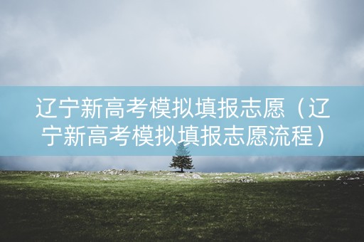 辽宁新高考模拟填报志愿（辽宁新高考模拟填报志愿流程）