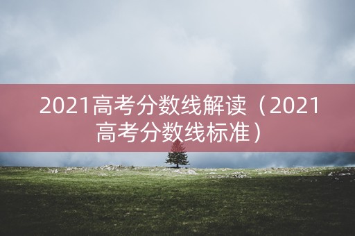 2021高考分数线解读（2021高考分数线标准）