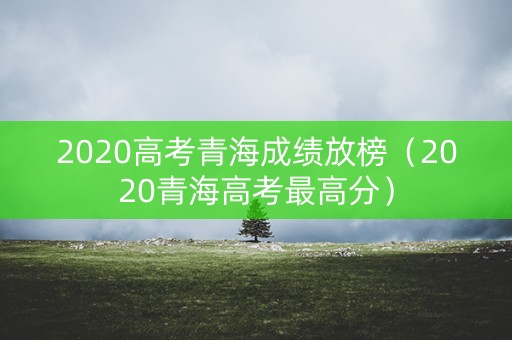 2020高考青海成绩放榜（2020青海高考最高分）